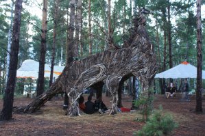 Наблюдал на фестивале PsyLand в Новосибе