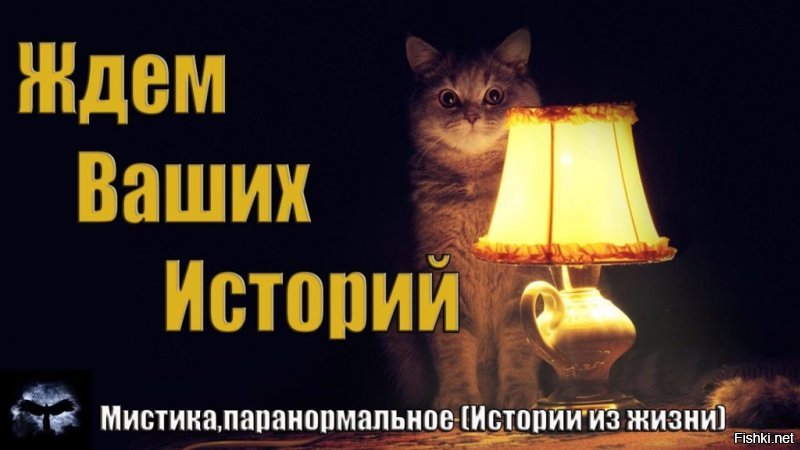 Русская женщина знает, какой ответ нужно дать ведущему американскому военному аналитику НАТО