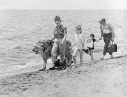 А как же Берберовы? Или лев не экотическое животное?