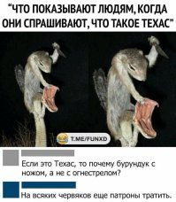Бурундук должен быть с бензопилой, вот тогда будет настоящая резня.