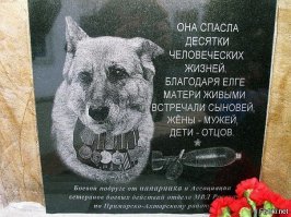 Памятники лучшим друзьям человека - собакам