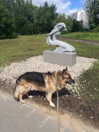 Все как в рассказе((( Уже 1,5 года, как наш Рэй ушел на радугу. Только мы были с ним до конца.  Одно из последних фото( 14 лет вместе
