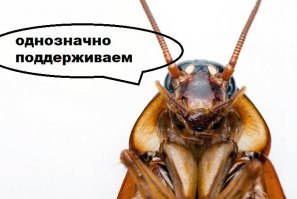 Прикольные и смешные картинки