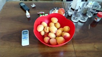 Самый полезный фрукт лета