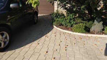 Самый полезный фрукт лета