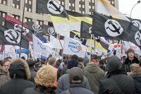 В центральном городе Японии Нара около тысячи диких оленей бродят по паркам и улицам. Их можно покормить, тут же купив вкусняшку в одном из многочисленных киосков, а олень вас отблагодарит поклоном. 

В России их тоже тысячи бродят по улицам