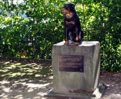 Памятник любимой собаке графини - ротвейлеру Султану. (фамилия графина Панина)