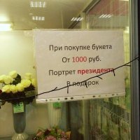 Показалось, что это колючая проволока ))))