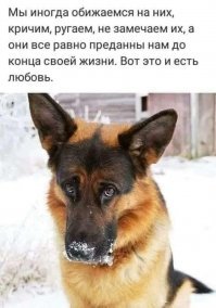 Вася