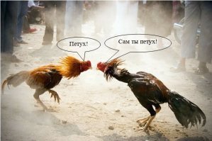 Бои животных