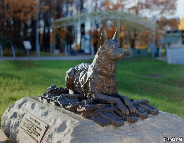 Москва, памятник фронтовой собаке.