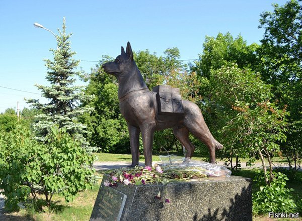Волгоград, памятник собакам-сапёрам.