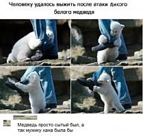 Прикольные и смешные картинки