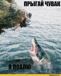 Почему в Средиземном море нет акул?