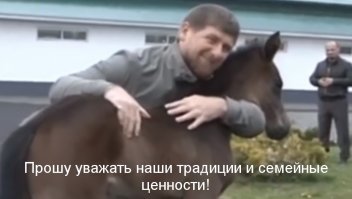 15 скриншотов из сети, в которых комментарии оказались лучше поста