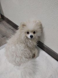 Обольстительницы из Одноклассников, которые скоро доберутся и до вас