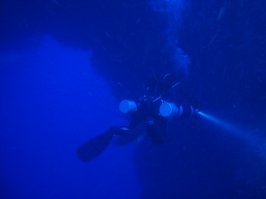 Подавляющее число трагедий Блюхола (если не все) происходят от нарушений. ОВДшникам в Арке делать вообще нечего с их 18 метрами, как и АОВДшникам с их 24 метрами. Даже если они имеют специализацию Дип дайвер, всё равно это лишь 40 метров, при этом время максимальное бездекомпрессионное время на глубине составляет от 6 до 9 минут. То есть арку можно пройти лишь с декомпрессией, а это технический дайвинг.  Рекреационщики идут туда с жуткими нарушениями и мрут как мухи. Но почему же погибают в Блюхоле технические дайверы? В статье об этом чётко сказано, в основном это так называемые "азотные наркоманы", как тот же Липский. Они ради наркотического опьянения сознательно идут на нарушения ещё на стадии планирования погружения, что зачастую заканчивается закономерным и печальным финалом. Самое обидное, что из-за них страдают вполне нормальные и адекватные дайверы, попадая под запреты, которые ужесточаются после каждого несчастного случая.
Я лично в Арке был всего один раз (ничего там особо интересного для технаря нет), так вот из нас троих погружавшихся я один был на тримиксе, остальные - на воздухе. И на 55-60 метрах сперва цепануло азоткой одного, да так, что он не видел вход в Арку, который был прямо перед ним! Что самое интересное, буквально два-три вдоха моего тримикса и его отпустило. Но по ту сторону Арки разобрало уже обоих и они стали разбредаться в разные стороны. Еле сумел их загнать обратно в Арку и вернулись без происшествий. Но если бы не было меня с тримиксом, не факт, что исход был такой же.
Прикладываю пару фоток из Арки, чтобы вы сами убедились, что ничего там особенного нет (извиняюсь за неважное качество, мне там и без камеры забот хватало). Тот же Каньон гораздо интереснее, особенно пока там не запретили ночные погружения. ))