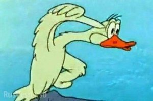 Куриное озеро: цыплята и куры в балетных пачках