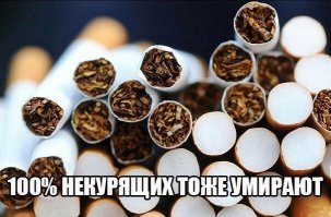 1 минута из жизни мира: что происходит пока вы зеваете или смотрите картинки