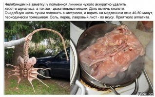 суровый Челябинск обсуждает рецепт приготовления Чужого
