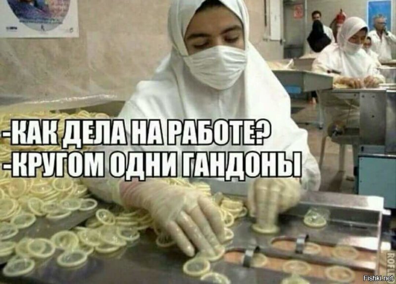 Рогулейпруденция эст матер студиорум