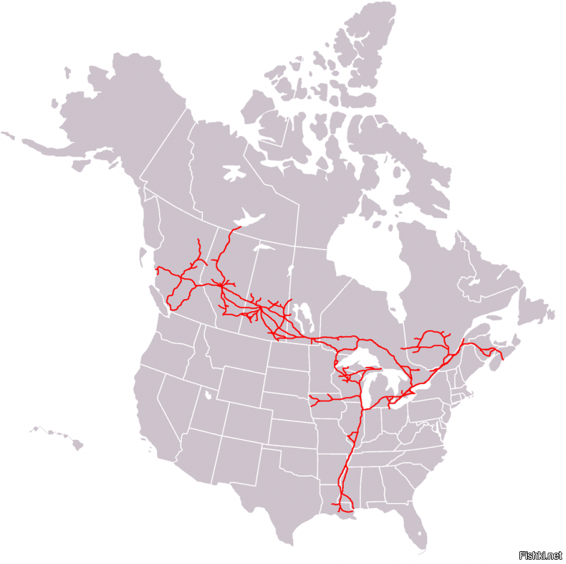 Оно действительно плохо развито. Это схема Канадской железнодорожной компании - владельце самой крупной сети железных дорог на континенте. Есть еще 5 американских компаний поменьше. Большая часть Канады вообще не имеет железных дорог,