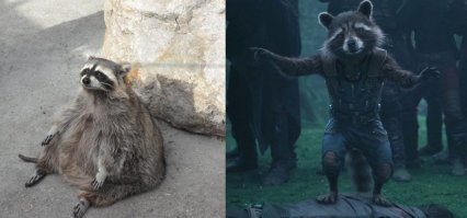 8 актеров до и после того, как их позвали сниматься в фильмах Marvel