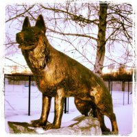 Новосибирск, ул. 2-ая Станционная 34, Памятник в честь всех погибших служебных псов.