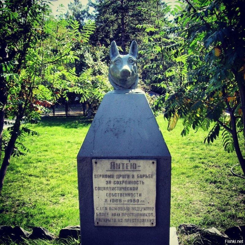 Новосибирск, ул Баганская, памятник псу Антею, за задержание бандитов.