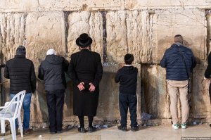 Ты, на свои "просторы" чаще обращай внимание. Хотя, какие они "свои". Отжали землю у хозяев, теперь всё и там загажено.