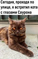 Вобще то это живет у меня дома