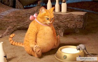 Прикольные и смешные картинки