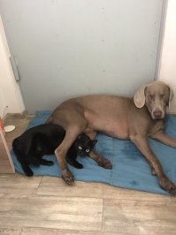 Фото авторское, от