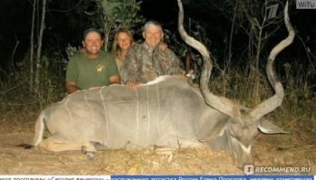 Хоть убей, не могу понять страсть убивать братьев наших меньших. Какая то дикость.  Можно оправдать охоту,  если она  необходима  для добывания средств пропитания, ну эта обеспеченная пара - для чего она убивала диких зверей ? Ради лайков в соцсетях ? Ради адреналина, при виде могучего животного, которое корчится в конвульсиях от их пуль ? Ну тогда эти мерзавцы просто извращенцы, которе не место в цивилизованном обществе. Правильно их стали бойкотировать соседи. Кстати, эта пара негодяев сродни другой семейной паре - любителей сафари - Елене Прокловой с мужем. Не отстает от них и депутат Думы Валуев.