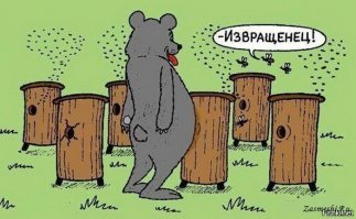 Правда ли медведи любят мед?