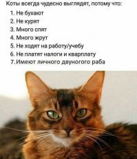 Какой-то анекдот был, когда у аксакала спрашивают в чем секрет его долголетия, а он отвечает: "У меня никогда не было начальников"