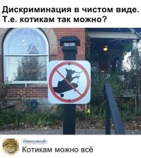 А есть видео с той собакой, после которой знак повесили?