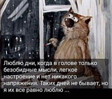 Картинки с надписями