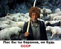 Борис Клюев прокомментировал тайные корпоративы Кикабидзе