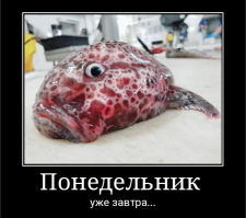 Картинки с надписями