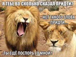 Прикольные и смешные картинки