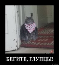 Картинки с надписями