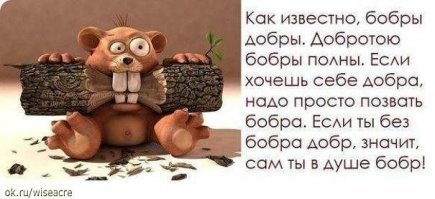 Теплые и очень добрые фотографии