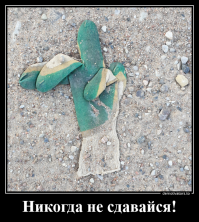 Демотивируй