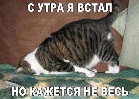 NeFормат