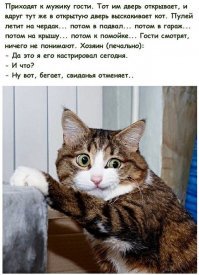 Хохотальня