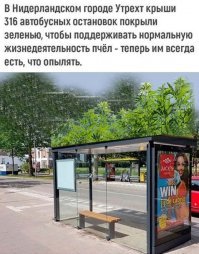 Прикольные и смешные картинки