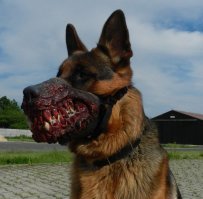 есть и страшнее.