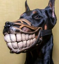 Жуткий намордник для собак, который способен напугать кого угодно
