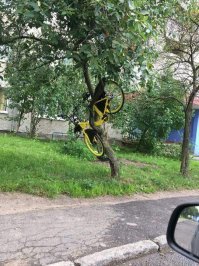 В Минске тоже байкшеринг появился... у нас не сбрасывают в воду, не снимают сиденья.... пока..........